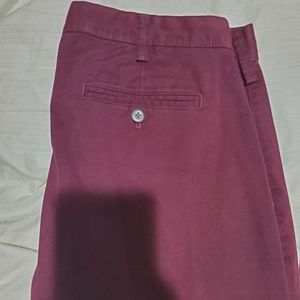 Express Chino Pants
